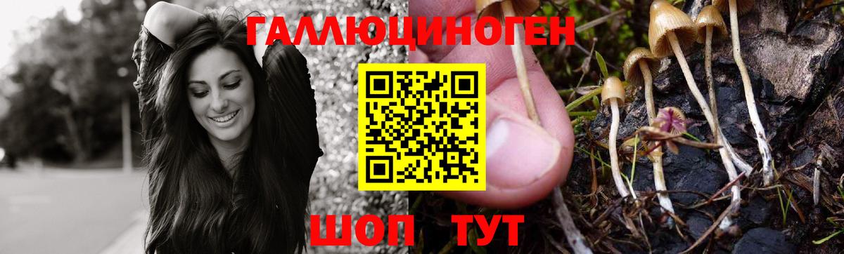 наркотики  Галлюциногенные грибы MAGIC MUSHROOMS  Вход с VPN  Корсаков 